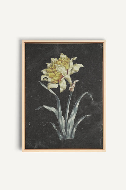 PRECIOUS FLORA, Oeuvre sur toile étirée, encadré Naturel Clair