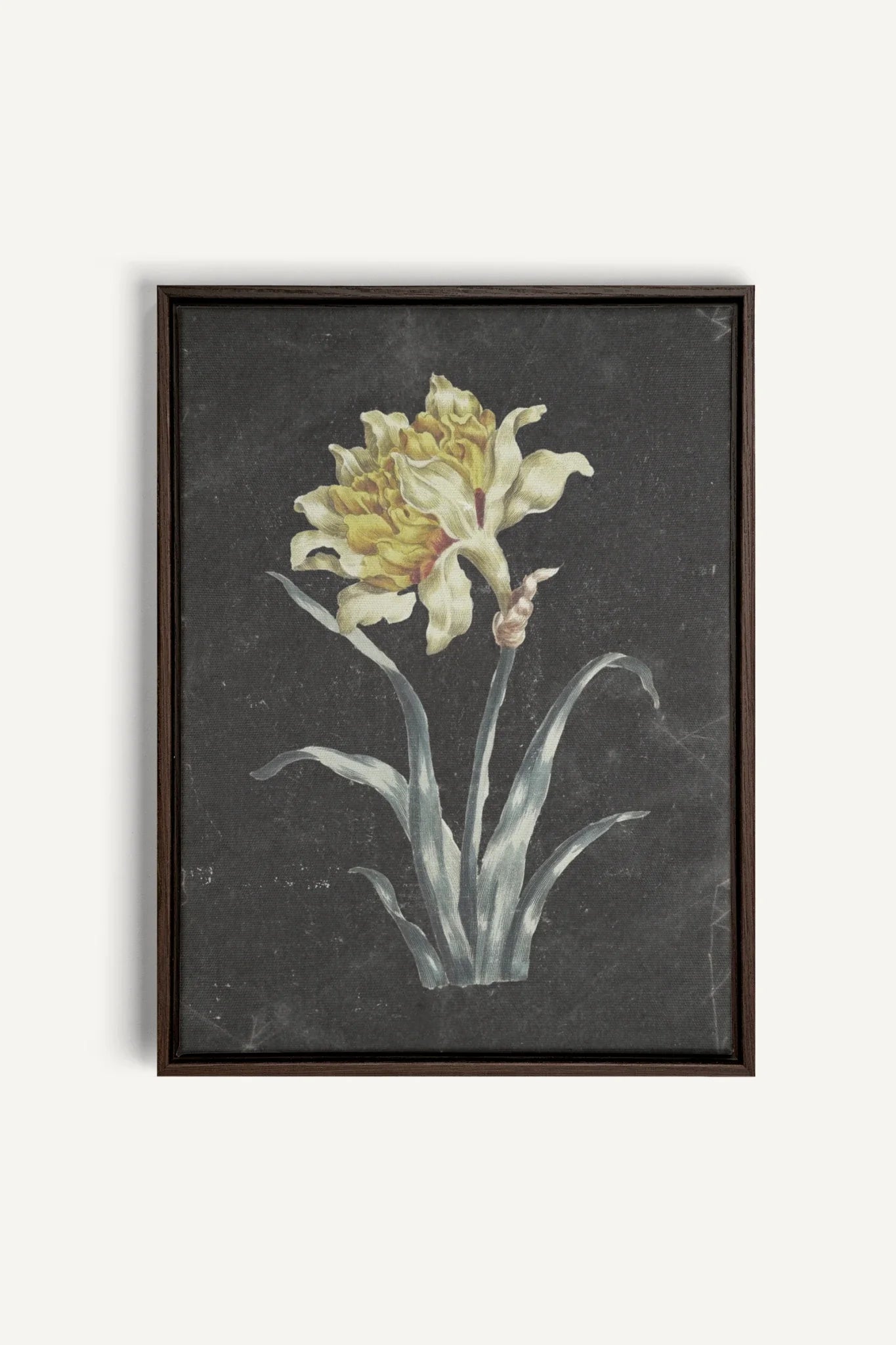 PRECIOUS FLORA, Work on stretched canvas, framed Walnut Brown