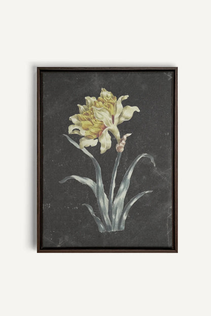 PRECIOUS FLORA, Work on stretched canvas, framed Walnut Brown