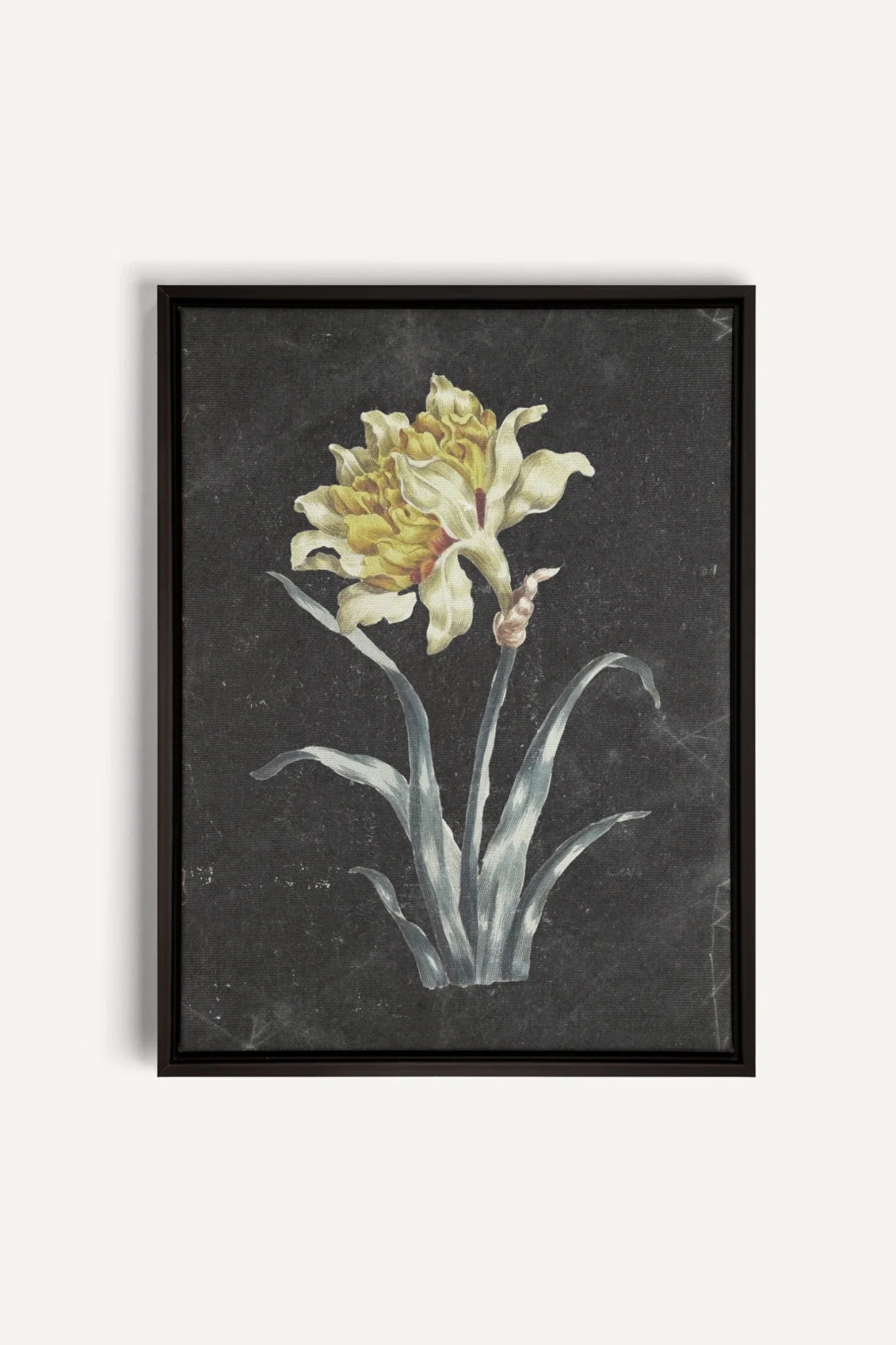 PRECIOUS FLORA, Oeuvre sur toile étirée, encadré Noir