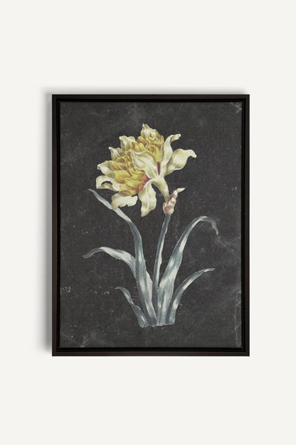 PRECIOUS FLORA, Oeuvre sur toile étirée, encadré Noir
