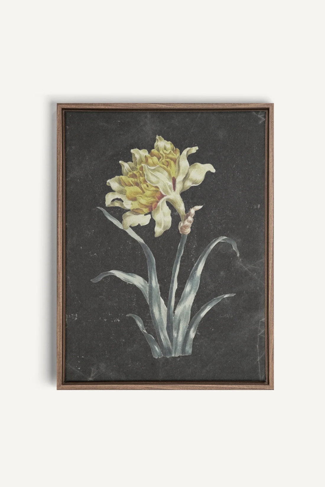 PRECIOUS FLORA, Oeuvre sur toile étirée, encadré Brun Chêne