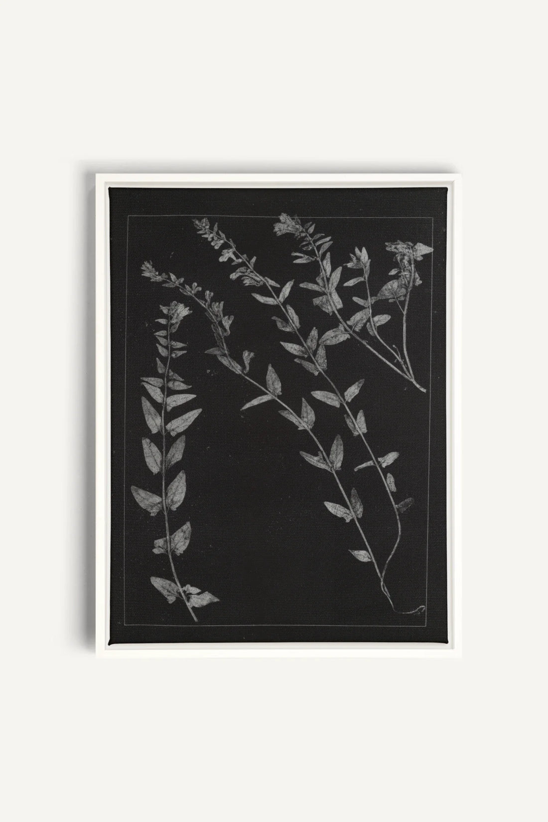 PRESSED MEMORIES, Oeuvre sur toile étirée, encadré Blanc