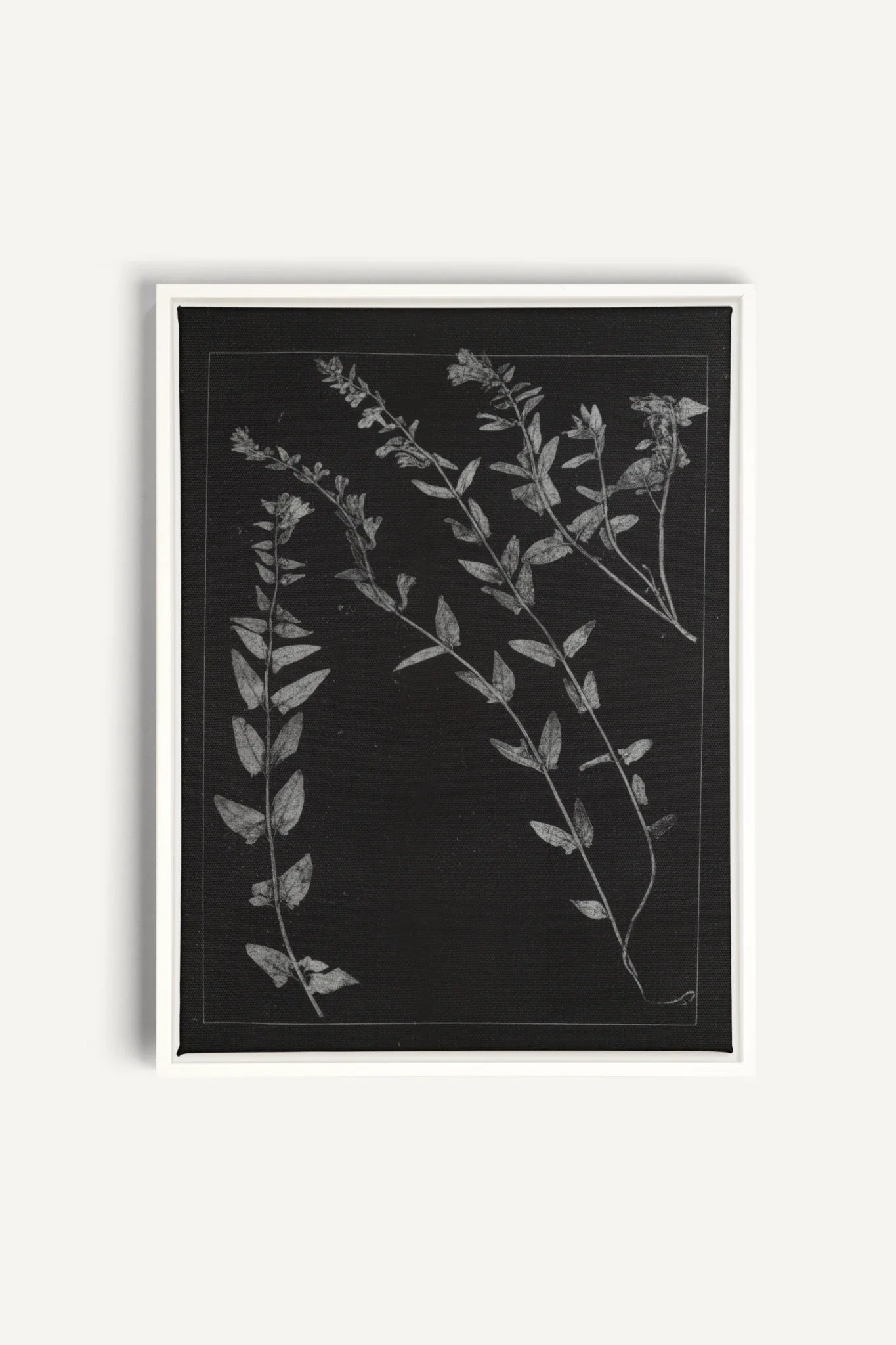 PRESSED MEMORIES, Oeuvre sur toile étirée, encadré Blanc