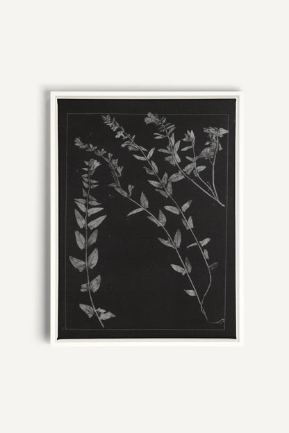 PRESSED MEMORIES, Oeuvre sur toile étirée, encadré Blanc