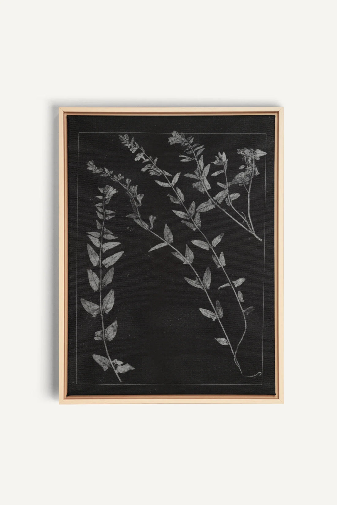 PRESSED MEMORIES, Work on stretched canvas, framed Naturel Clair