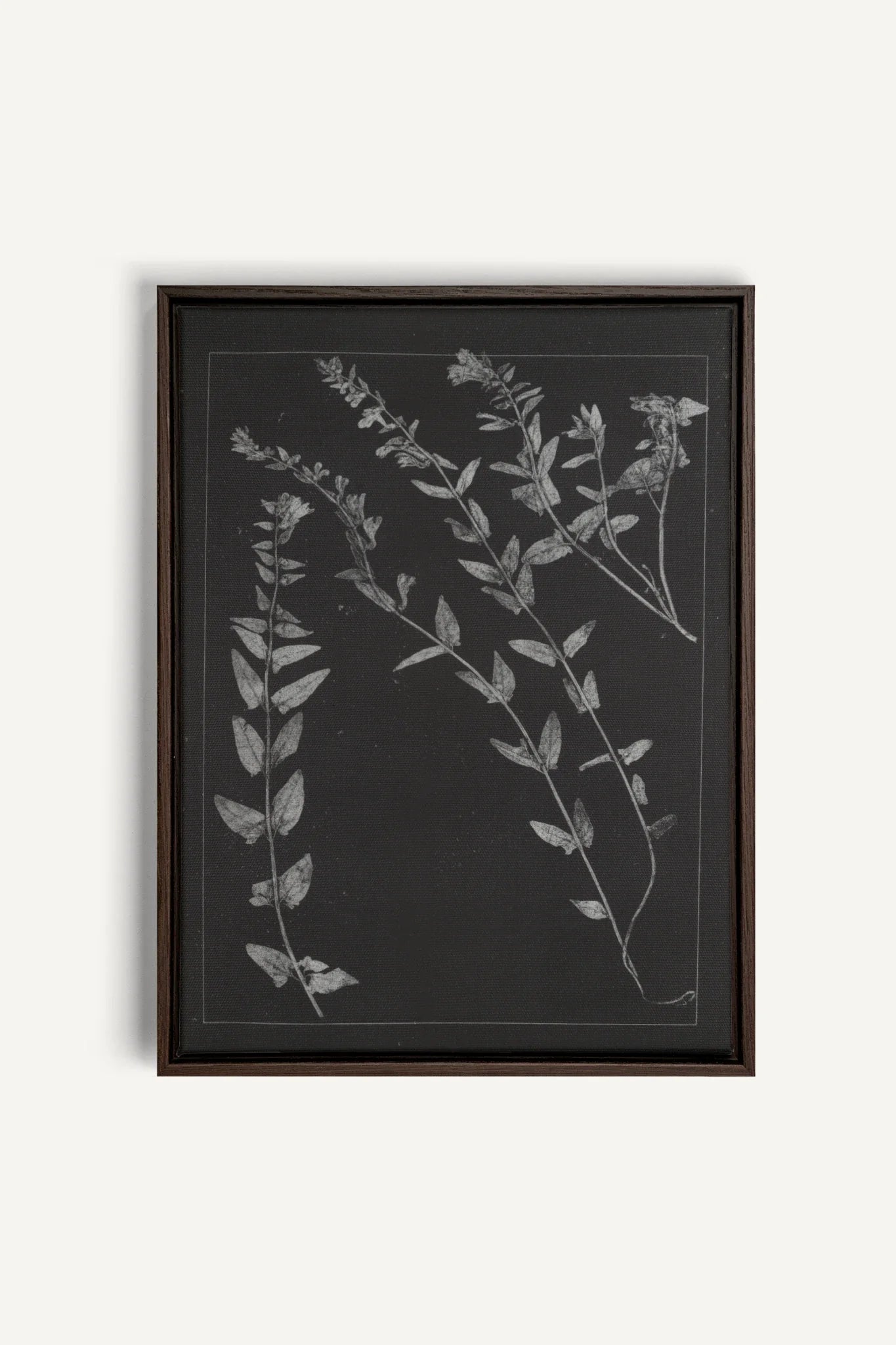 PRESSED MEMORIES, Work on stretched canvas, framed Walnut Brown