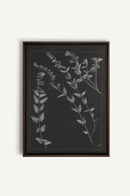 PRESSED MEMORIES, Work on stretched canvas, framed Walnut Brown