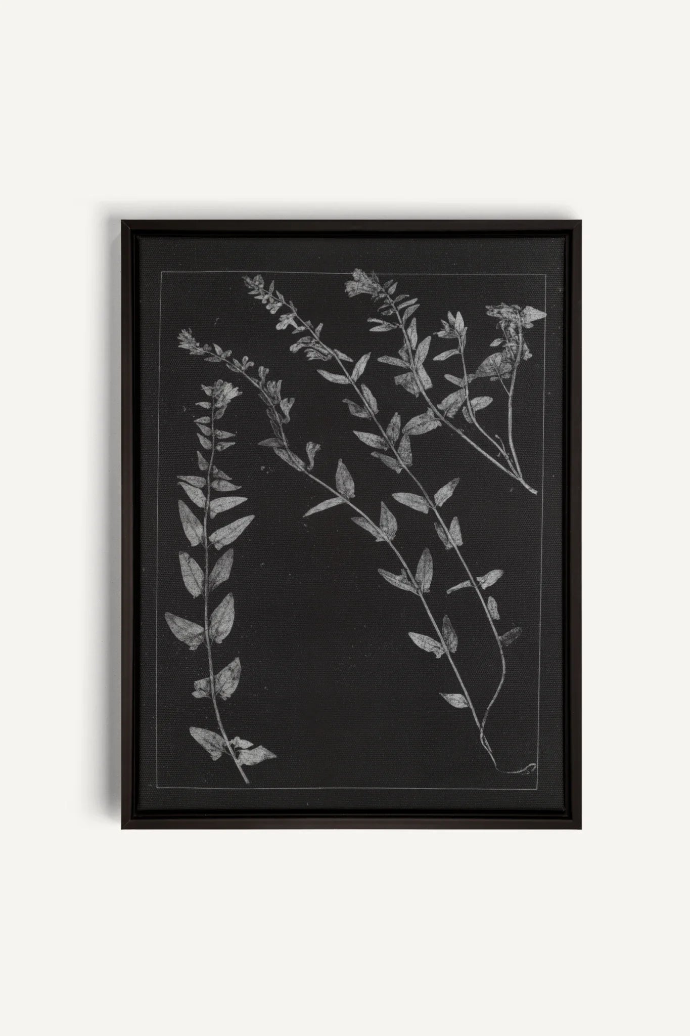 PRESSED MEMORIES, Work on stretched canvas, framed Black