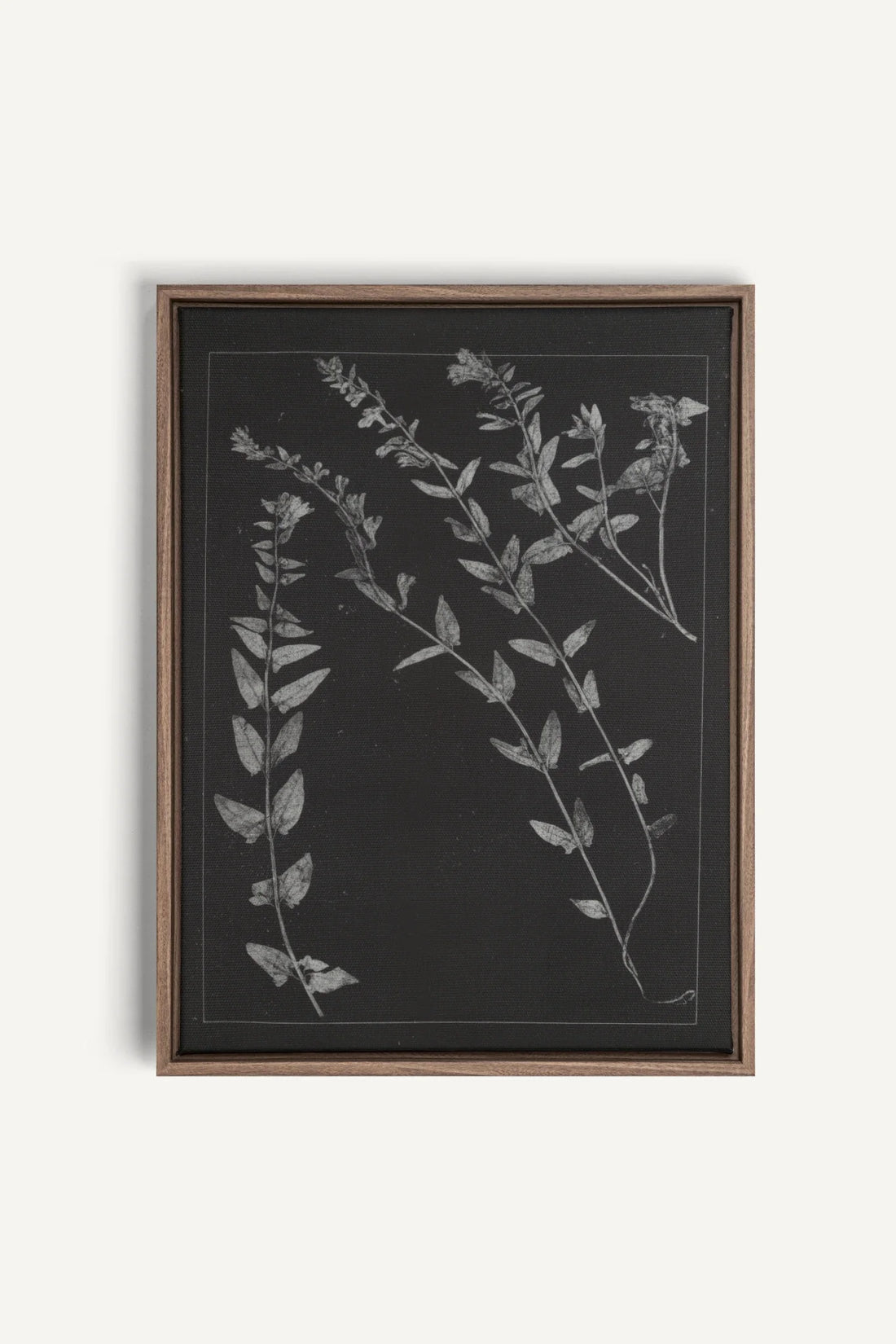 PRESSED MEMORIES, Oeuvre sur toile étirée, encadré Brun Chêne