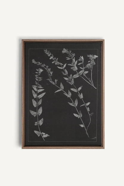 PRESSED MEMORIES, Oeuvre sur toile étirée, encadré Brun Chêne