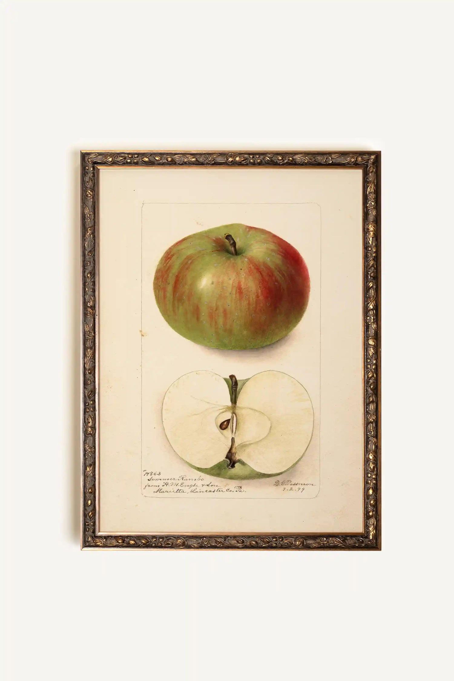 SAVEUR DU PASSÉ, Artwork on rigid canvas, framed in Vintage Bronze