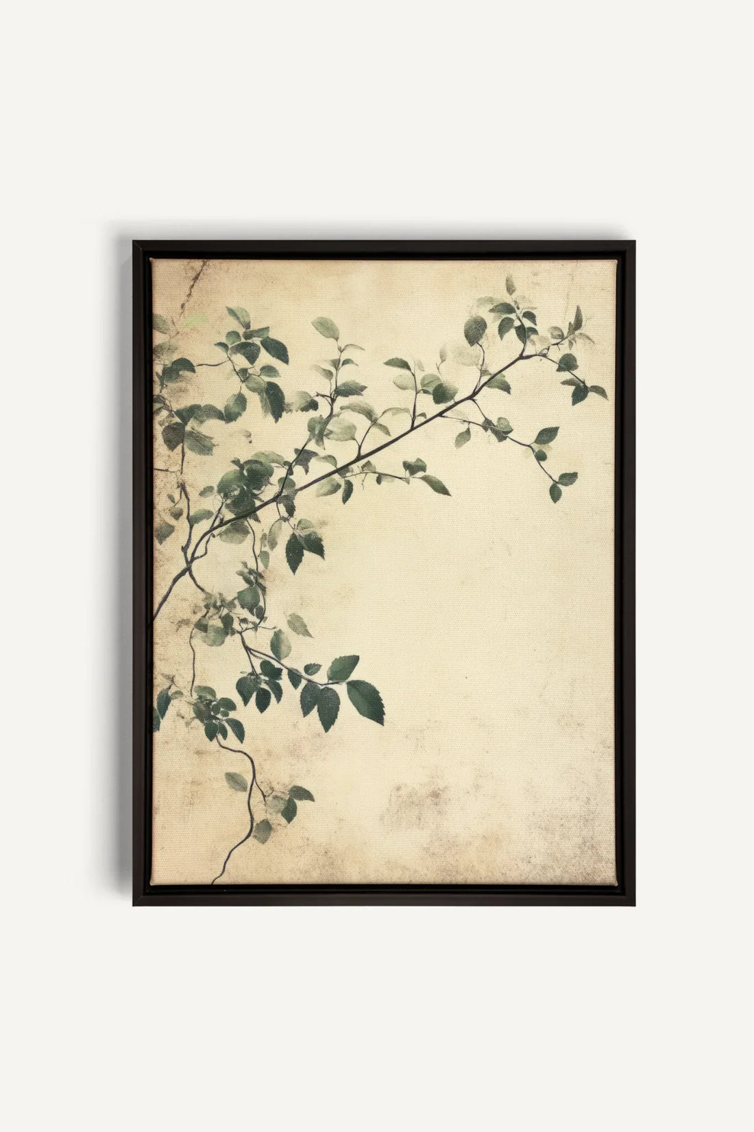 OLEKA CANVAS - SILENT VINES, Oeuvre sur toile étirée, encadré Noir