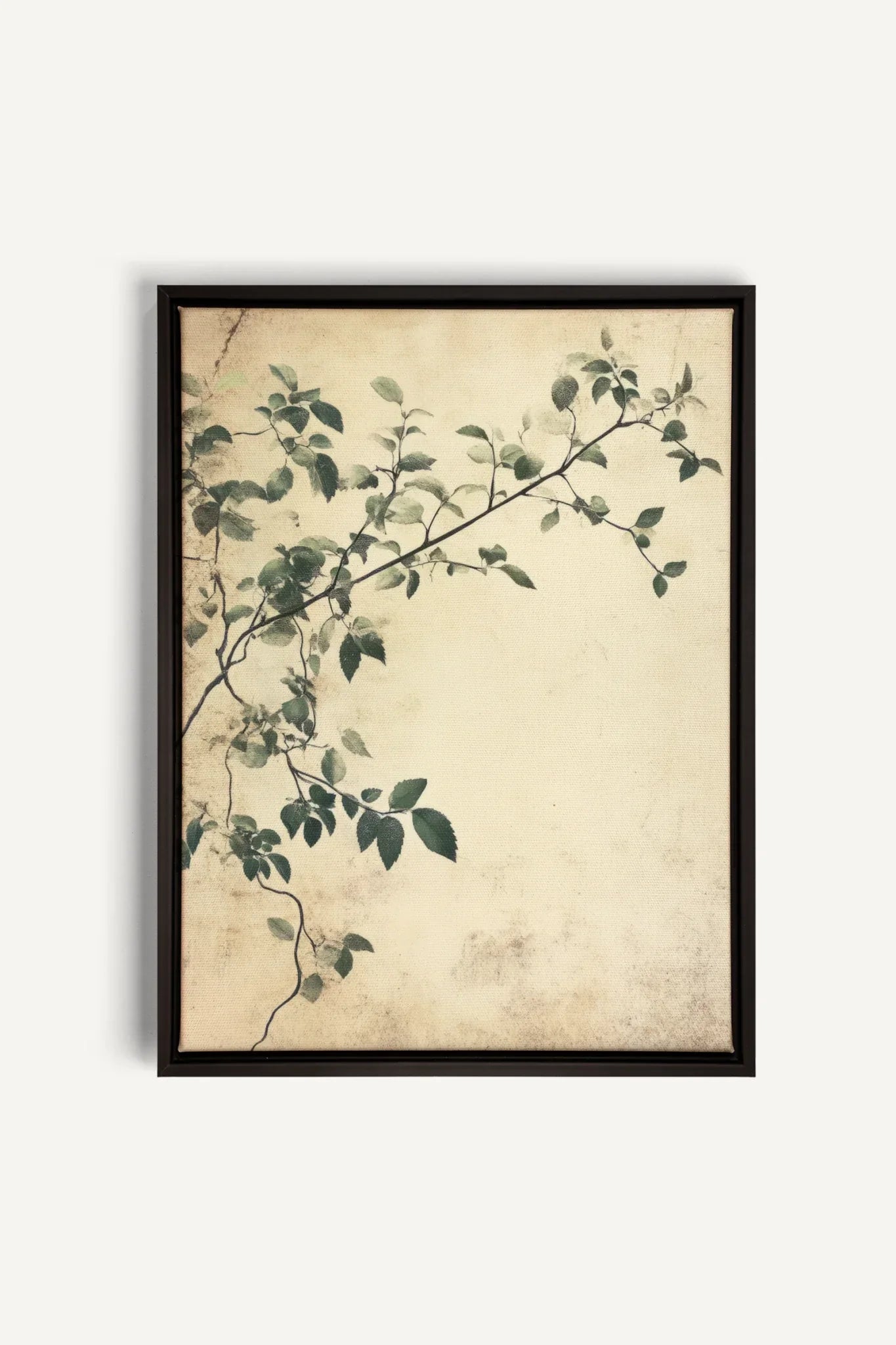 OLEKA CANVAS - SILENT VINES, Oeuvre sur toile étirée, encadré Noir