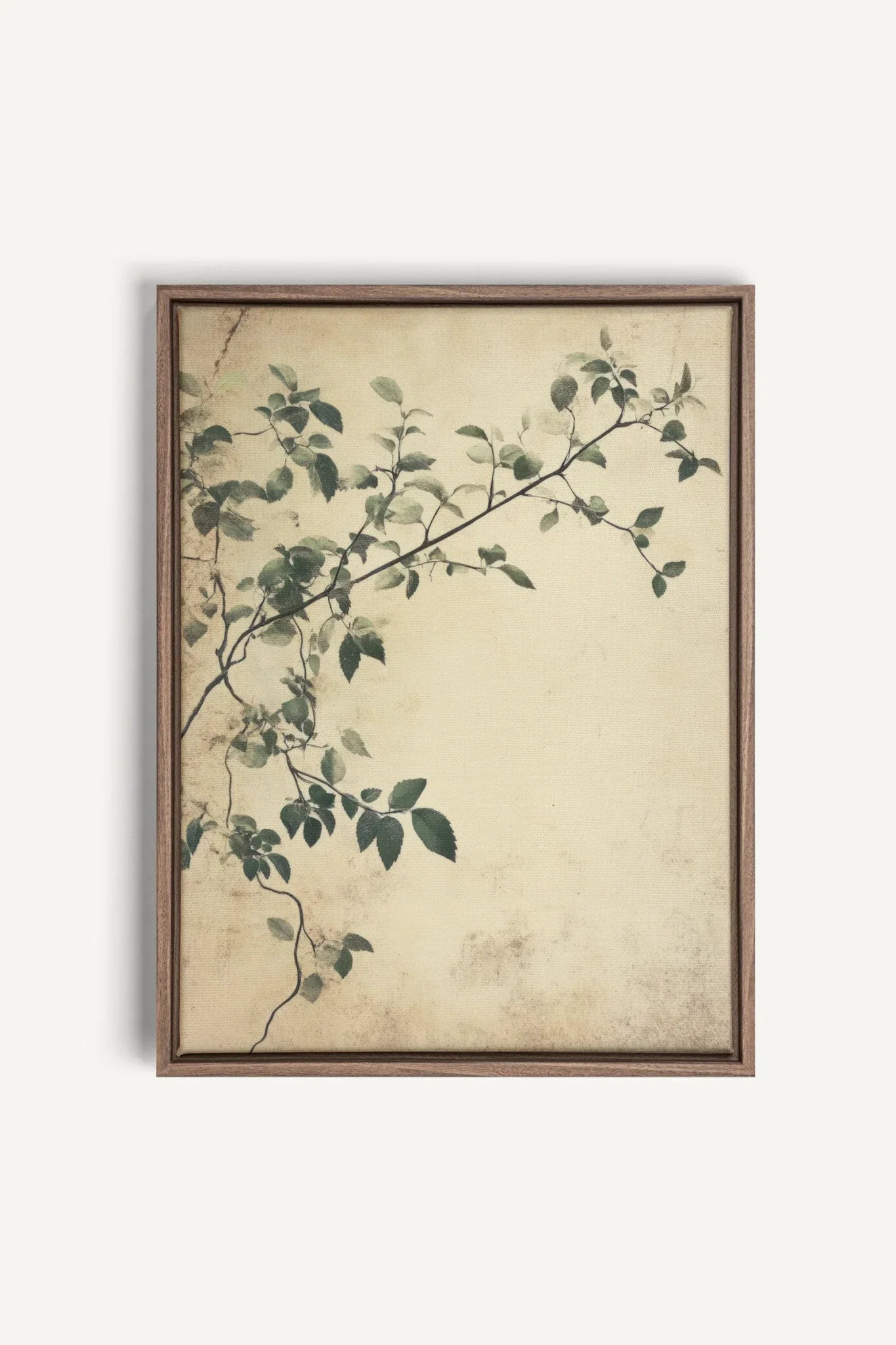 OLEKA CANVAS - SILENT VINES, Oeuvre sur toile étirée, encadré Brun Chêne