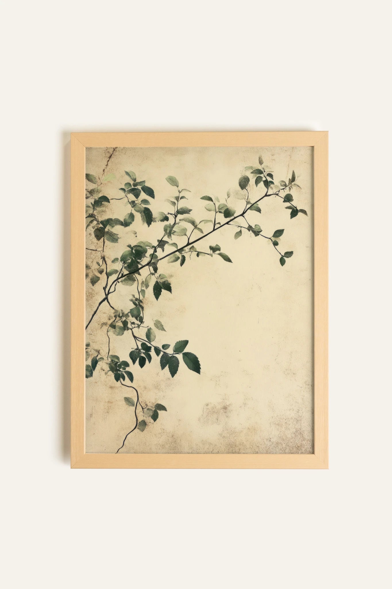 SILENT VINES, Toile Rigide