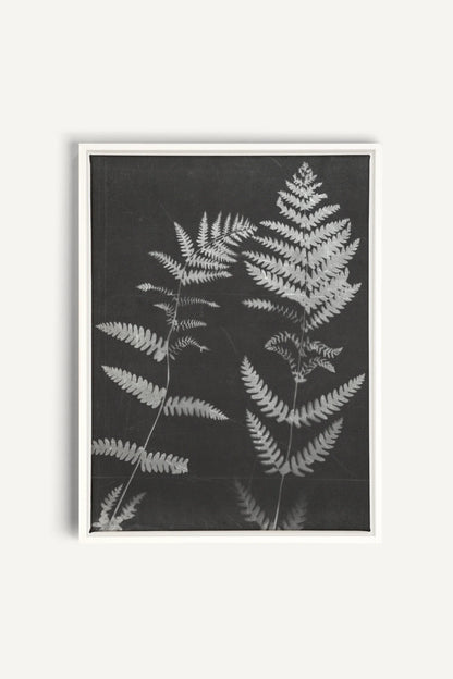SOUFFLE FORESTIER, Work on stretched canvas, framed White