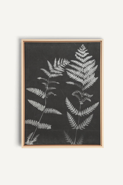 SOUFFLE FORESTIER, Oeuvre sur toile étirée, encadré Naturel Clair