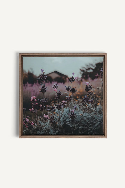 SOUFFLE LAVANDE, Oeuvre sur toile étirée, encadré Brun Chêne