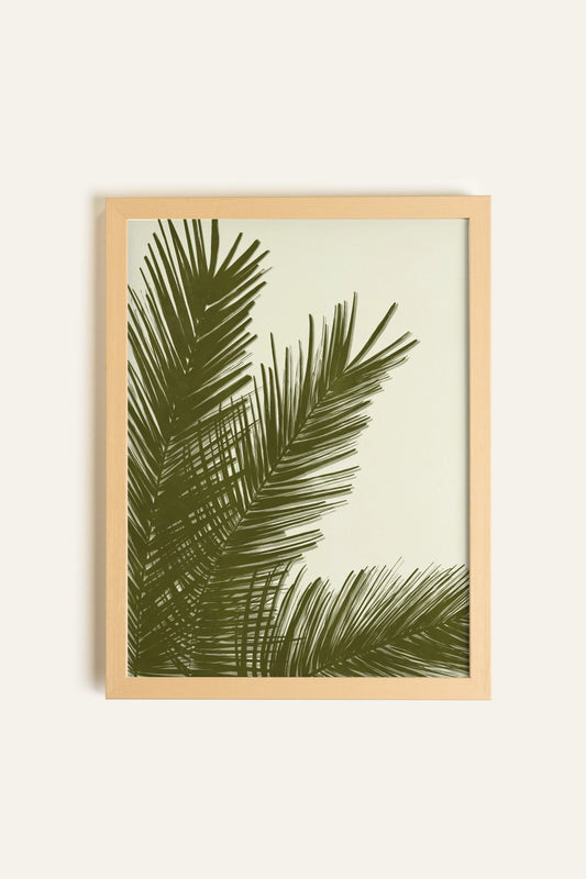 SOUFFLE TROPICAL, Toile Rigide