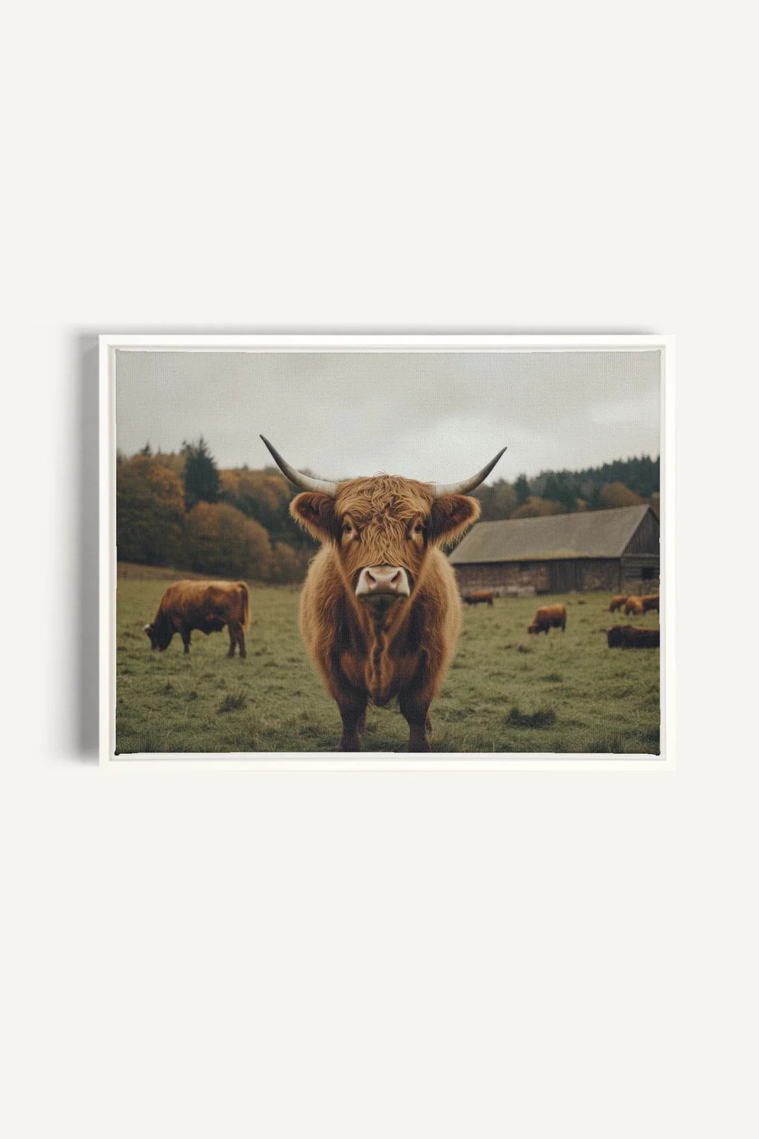 OLEKA CANVAS - SPIRIT OF THE MEADOW, Oeuvre sur toile étirée, encadré Blanc