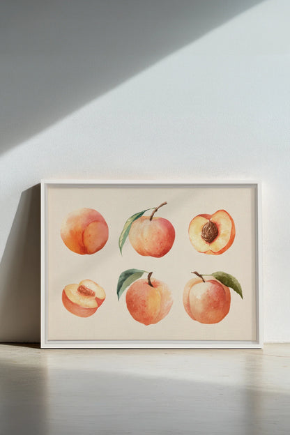 SUMMER PEACHES, Oeuvre sur toile étirée, encadré Blanc