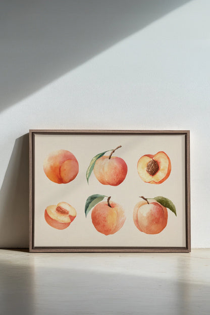 SUMMER PEACHES, Oeuvre sur toile étirée, encadré Brun Chêne