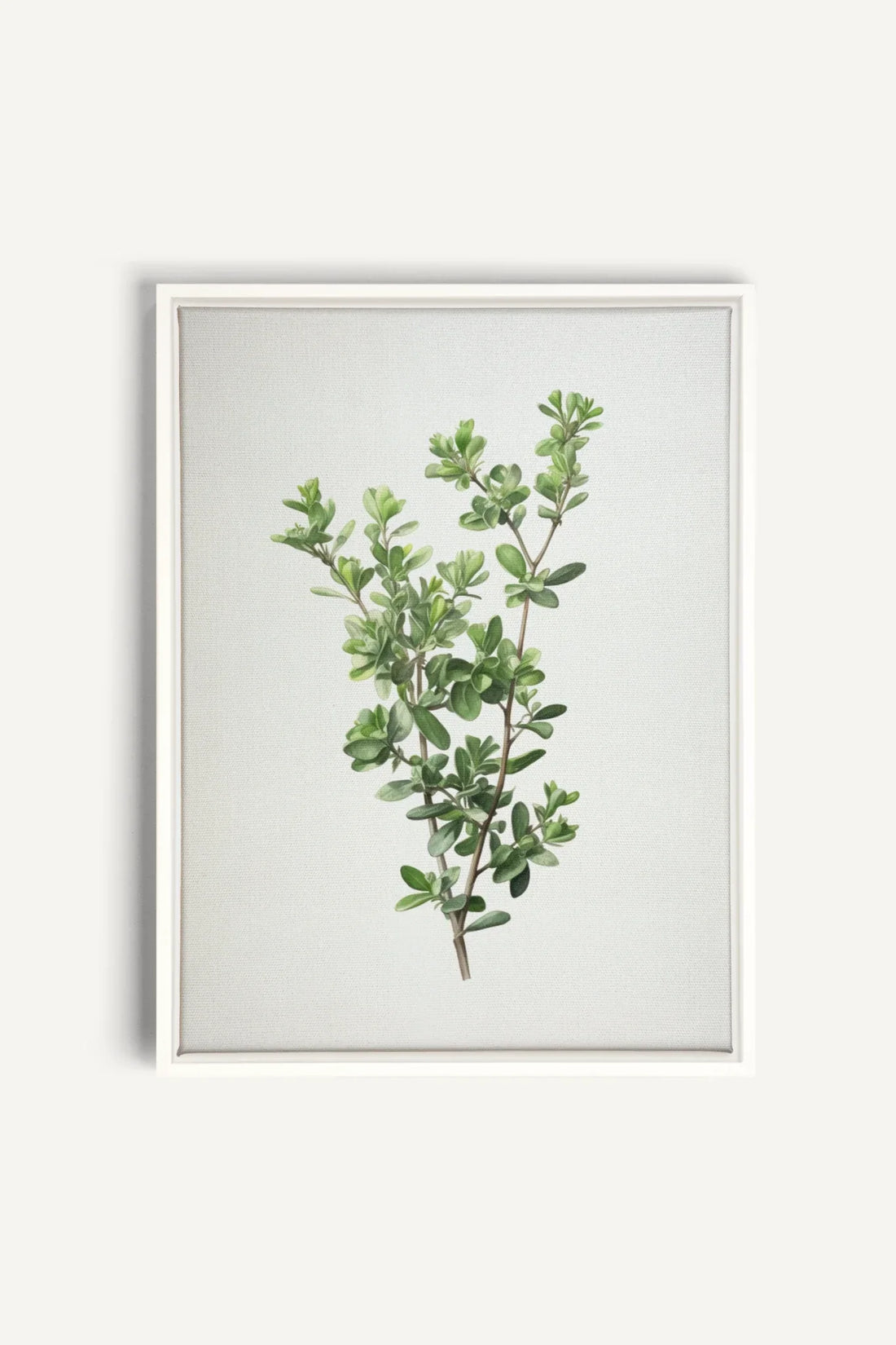 OLEKA CANVAS - THYMARIS, Oeuvre sur toile étirée, encadré Blanc