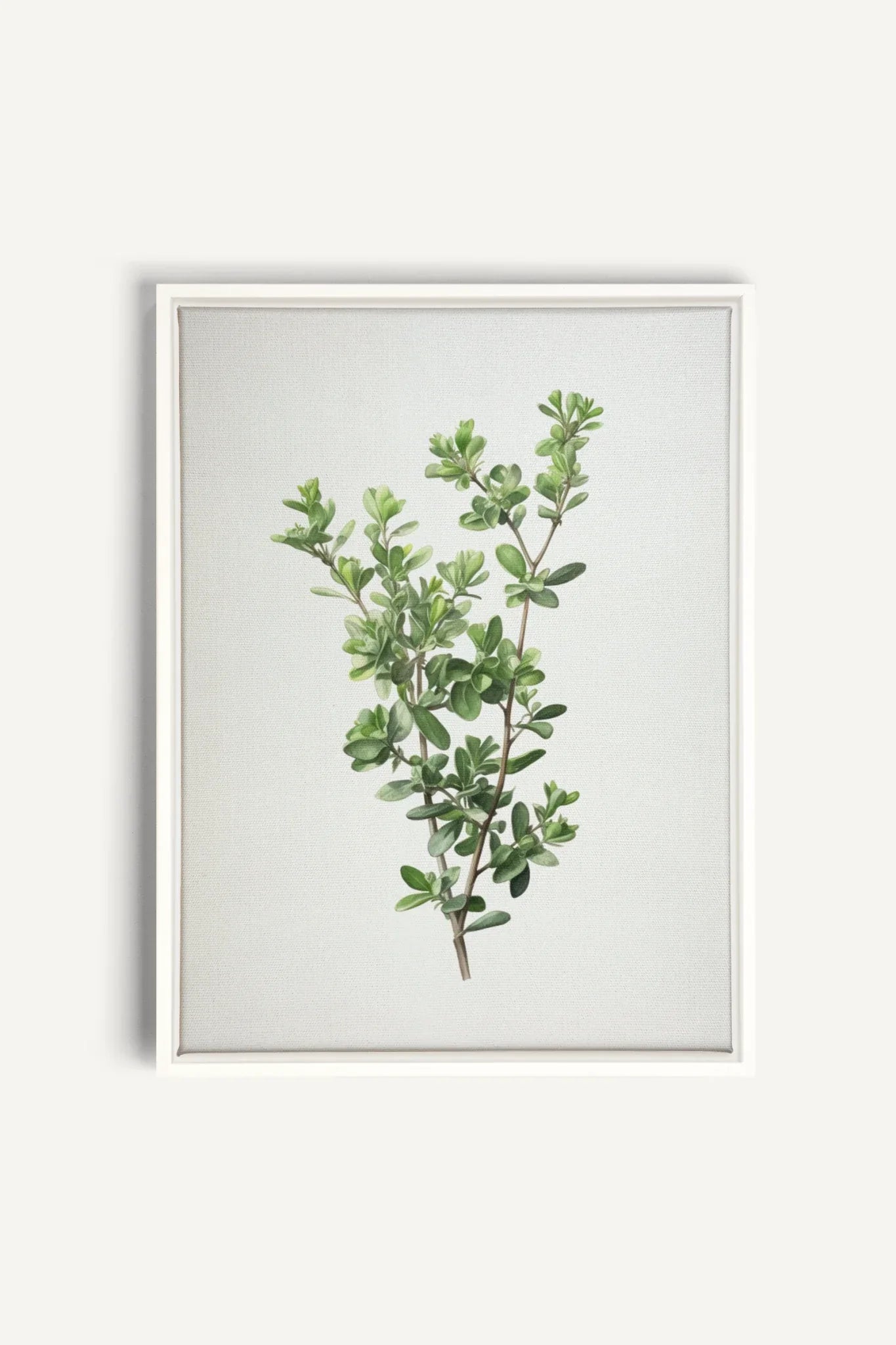 OLEKA CANVAS - THYMARIS, Oeuvre sur toile étirée, encadré Blanc