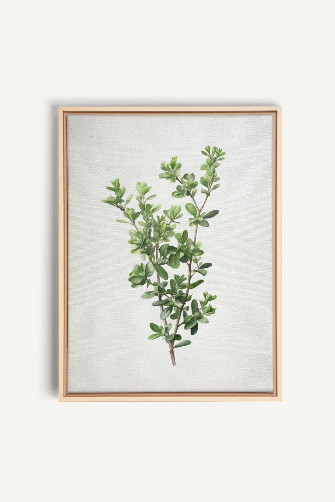 THYMARIS, Oeuvre sur toile étirée, encadré Naturel Clair