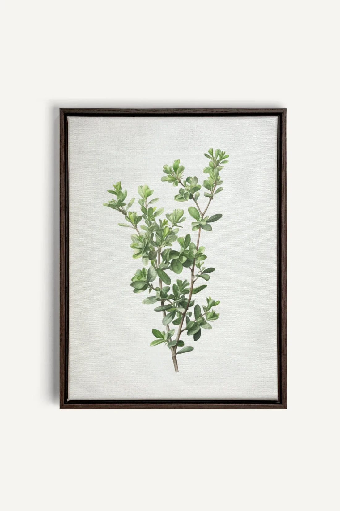 OLEKA CANVAS - THYMARIS, Oeuvre sur toile étirée, encadré Brun Noyer