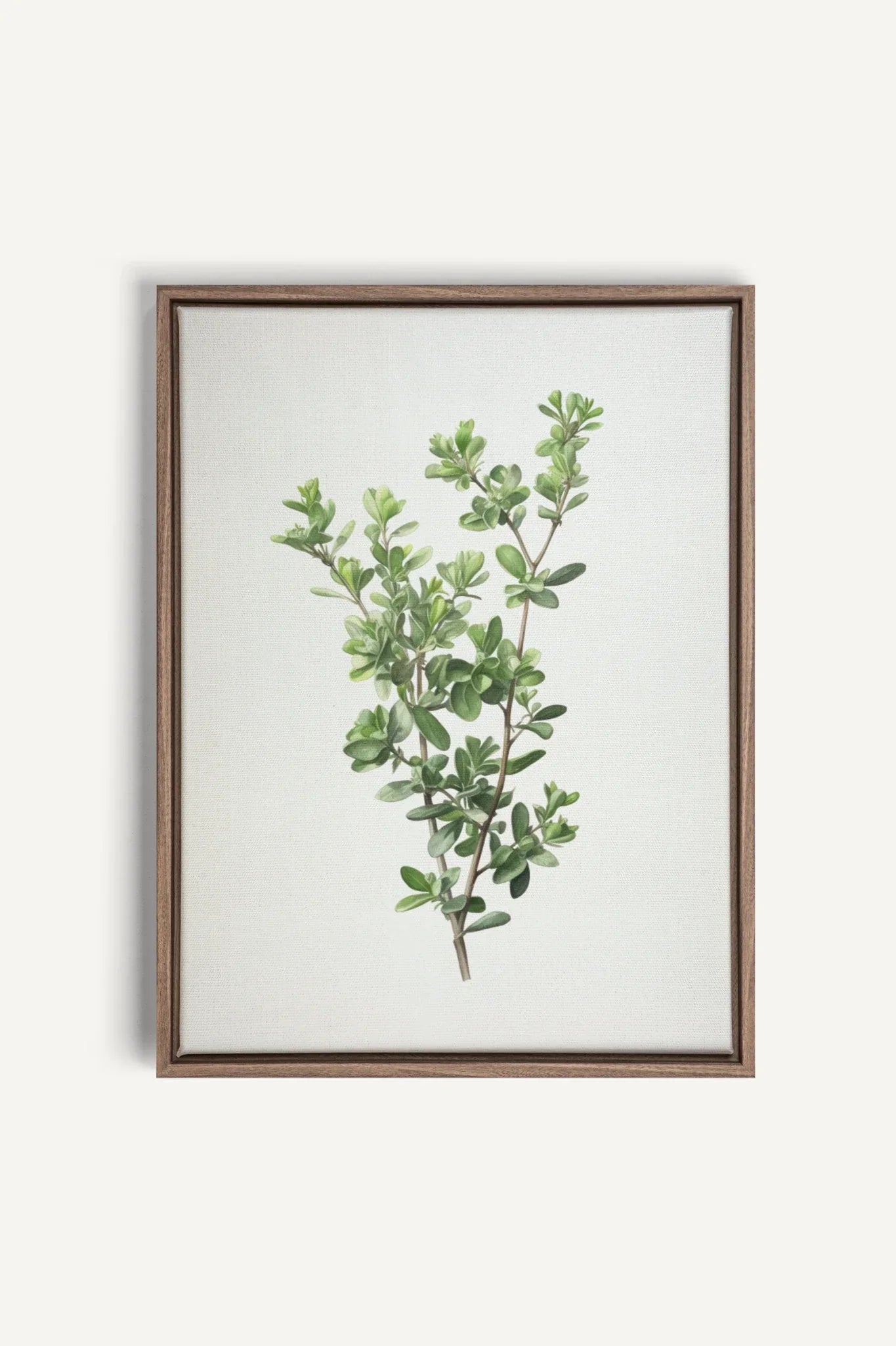 OLEKA CANVAS - THYMARIS, Oeuvre sur toile étirée, encadré Brun Chêne
