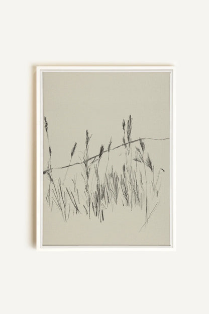 TIGES AUX VENT, Oeuvre sur toile étirée, encadré Blanc