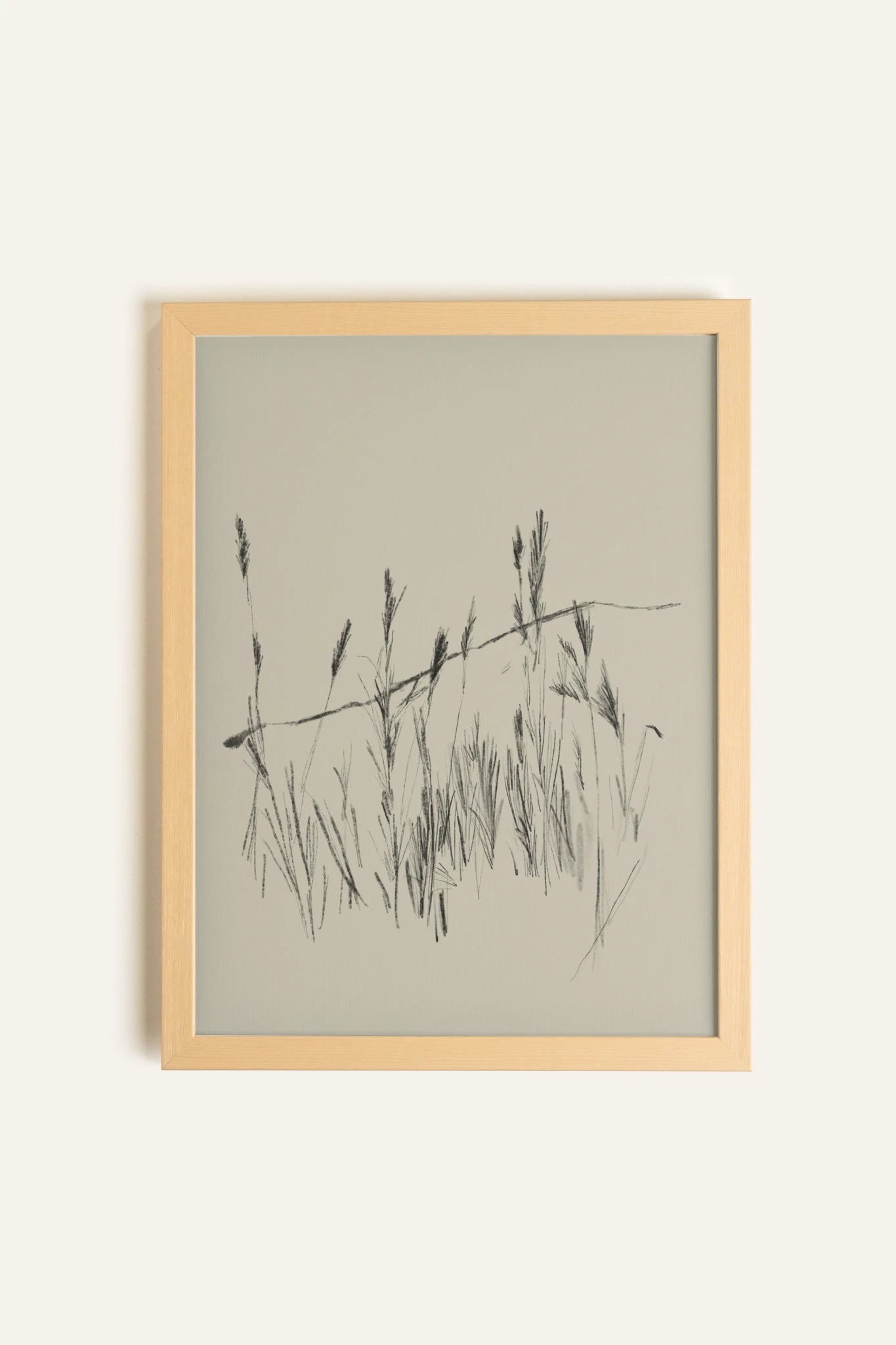 TIGES AUX VENT, Toile Rigide
