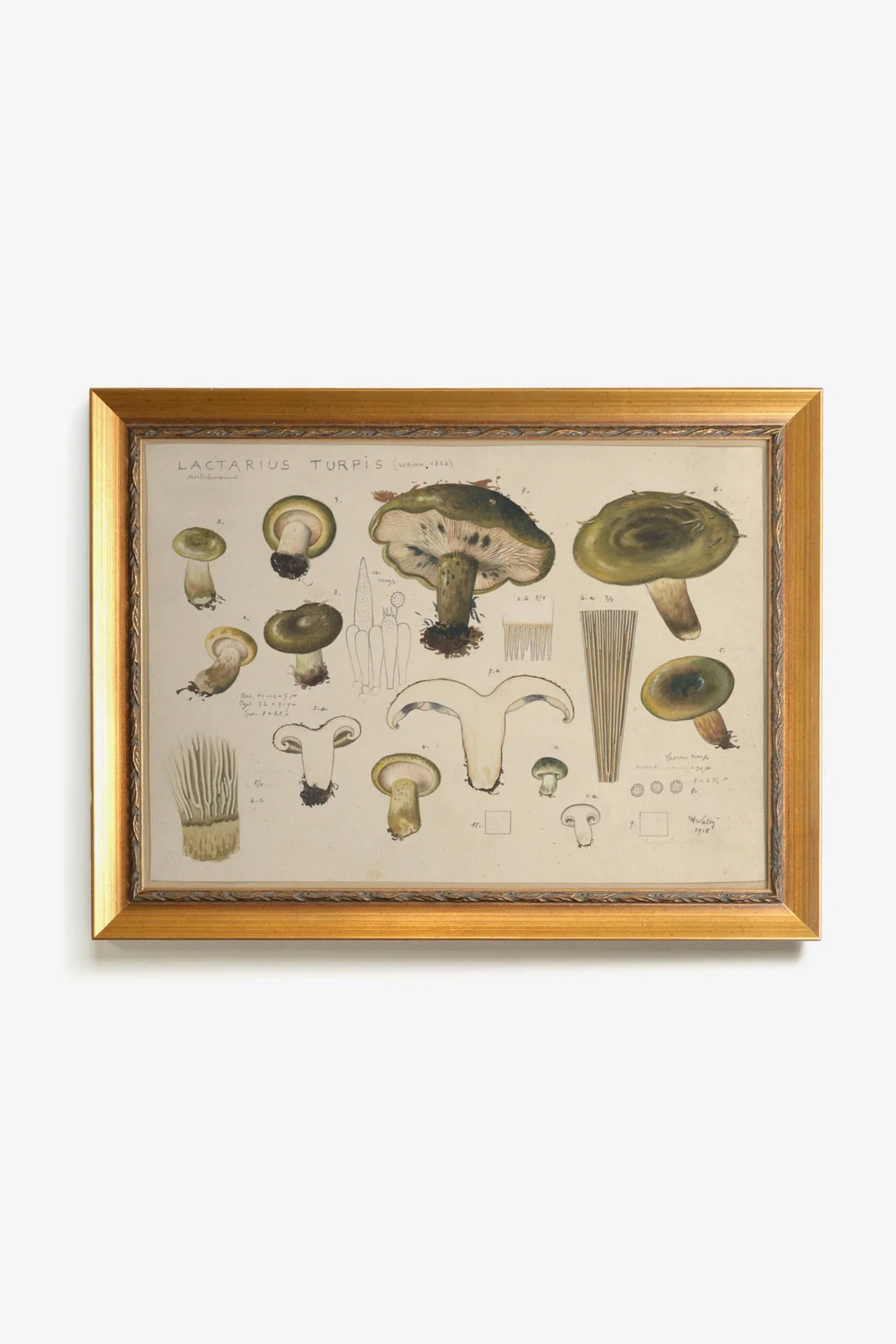 TRÉSOR FORESTIER, Oeuvre sur toile rigide, encadré Vintage Or