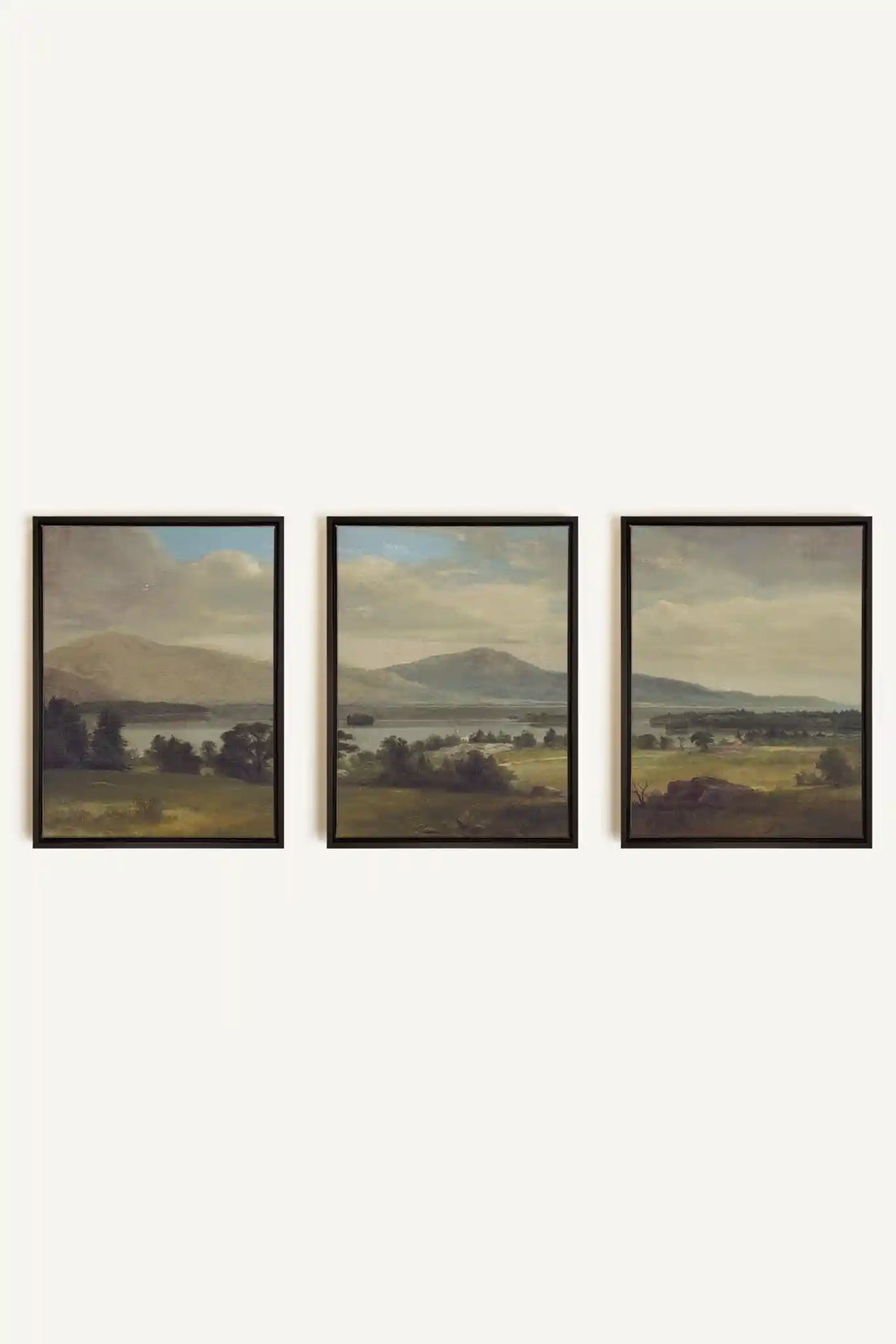 TRIO DES SAISONS DOUCES, 3 Oeuvres sur toile étirée, encadré Noir