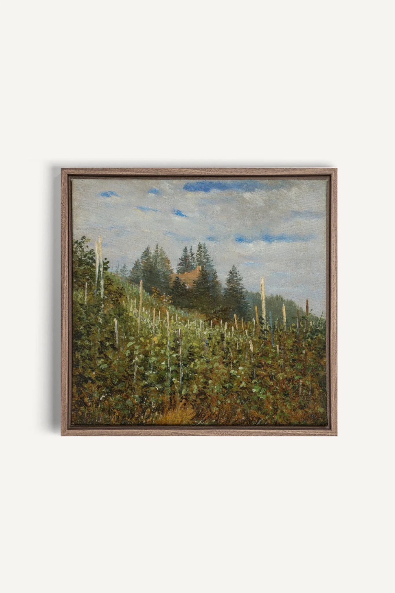 VERSANTS SAUVAGES, Oeuvre sur toile étirée, encadré Brun Chêne
