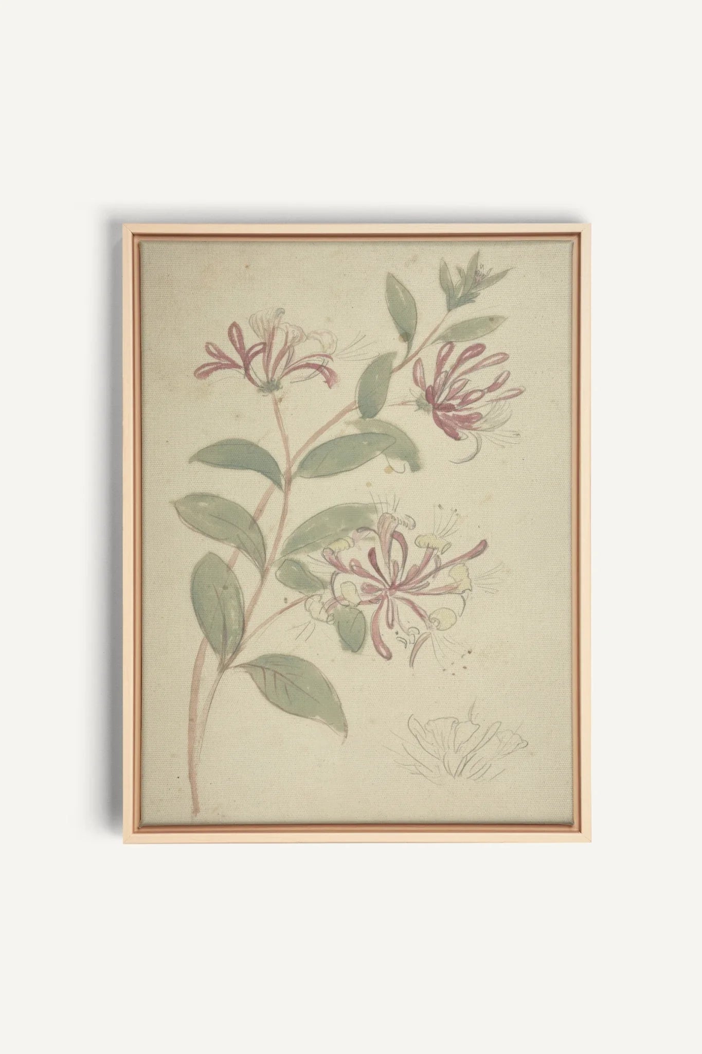 VINTAGE VINE, Oeuvre sur toile étirée, encadré Naturel Clair