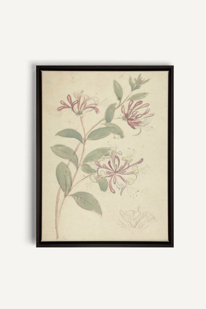 VINTAGE VINE, Oeuvre sur toile étirée, encadré Noir