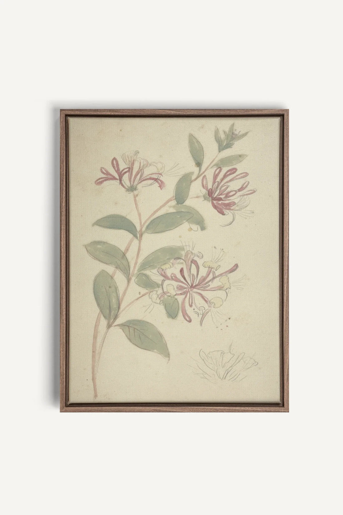 VINTAGE VINE, Oeuvre sur toile étirée, encadré Brun Chêne