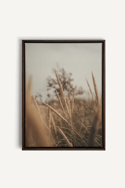 OLEKA CANVAS - WHEAT, Oeuvre sur toile étirée, encadré Brun Noyer